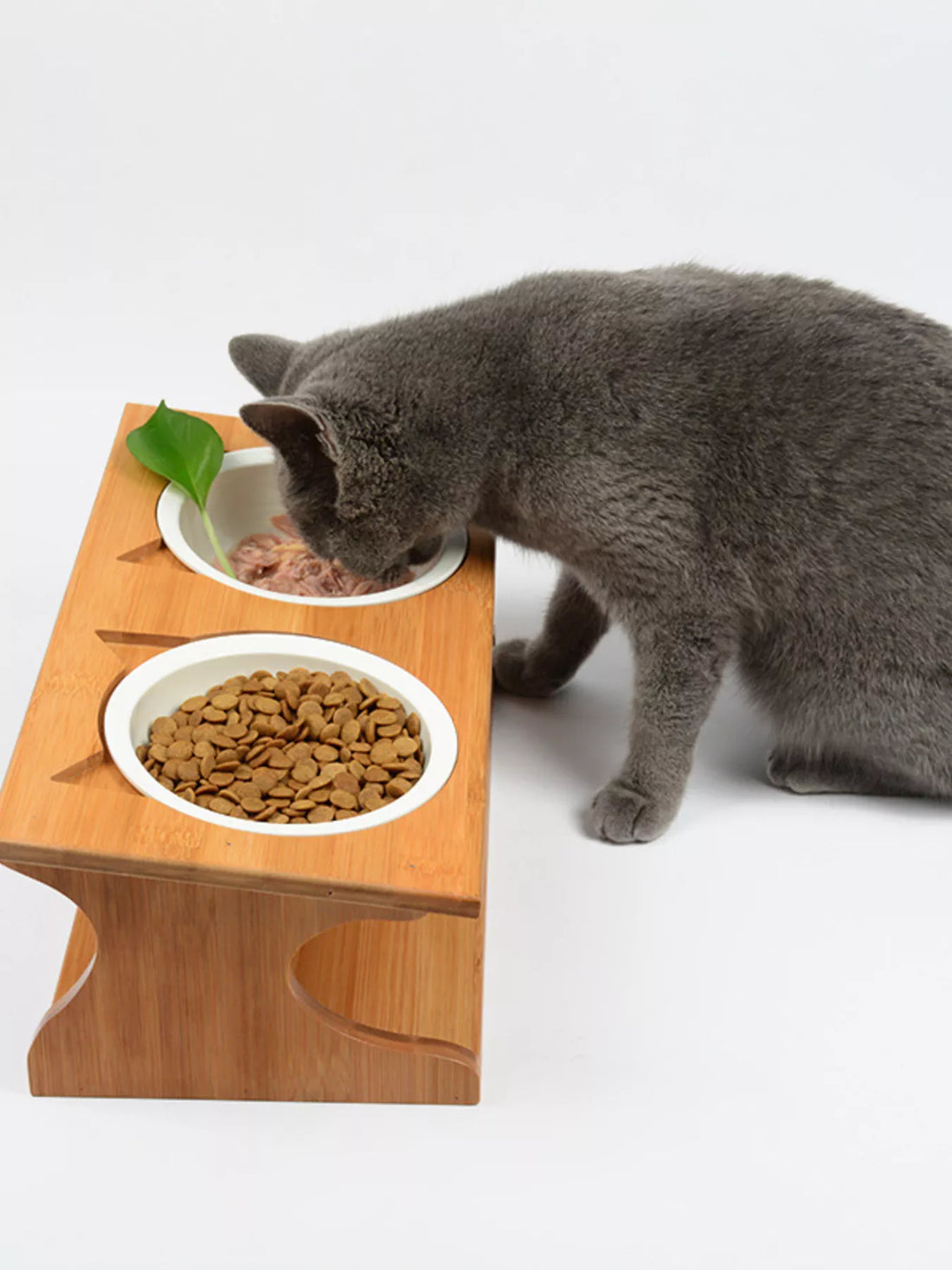 The Science of Mealtime: How Proper Feeding Tools Improve Pet Health