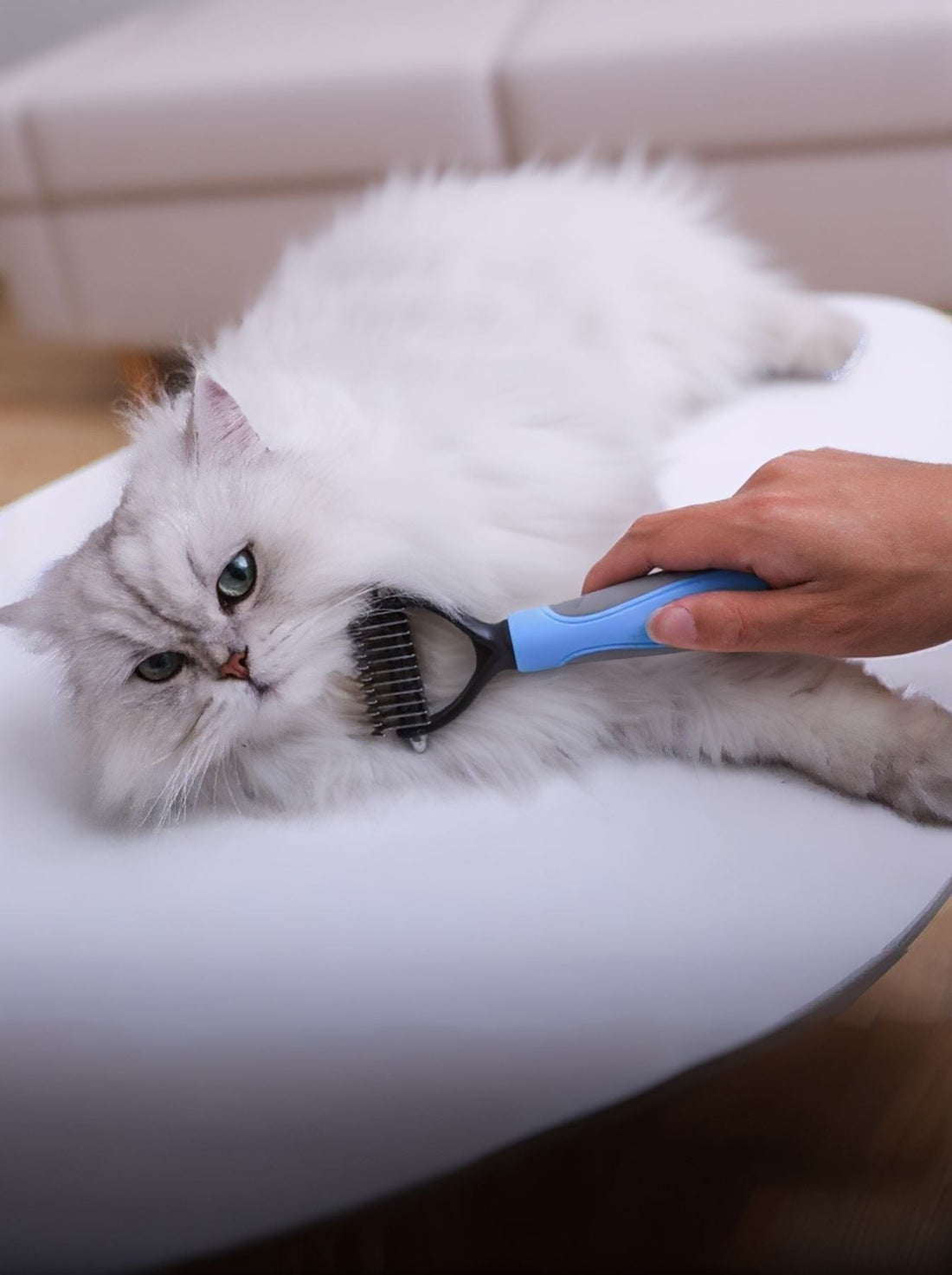 The Ultimate Home Grooming Guide: Professional Results for Happy Pets