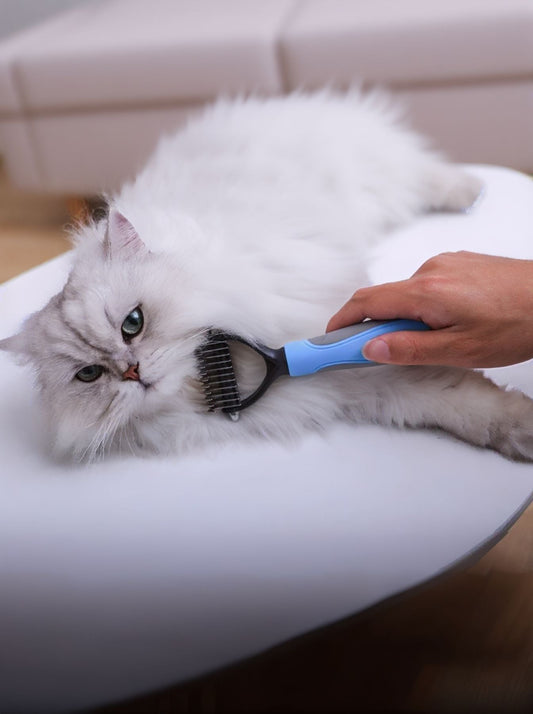 The Ultimate Home Grooming Guide: Professional Results for Happy Pets