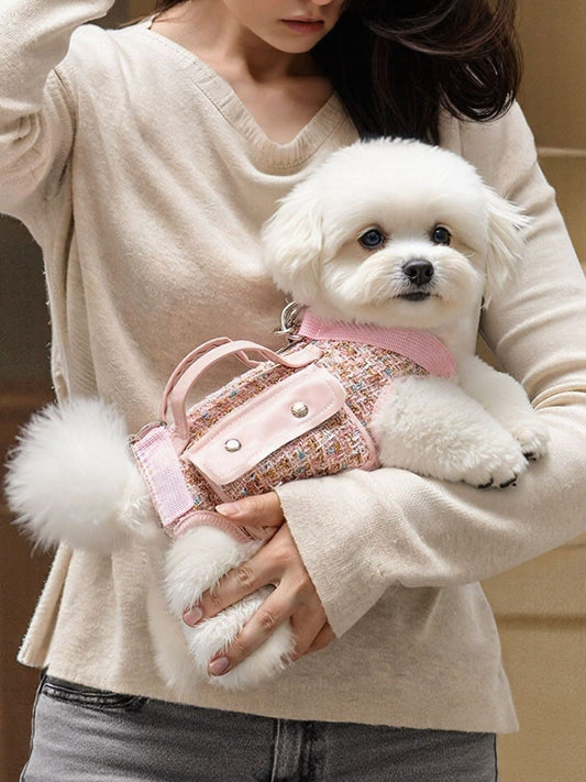 The Ultimate Guide to Safe and Comfortable Pet Fashion