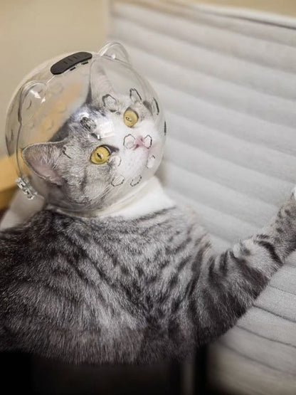 06e3a5e85704415a9f68ab1cc4aa2527-Max