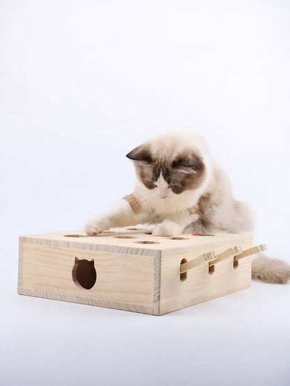 09a7ec04-f27d-4a4f-9c1a-fcc296b16e2c-Max-Origin