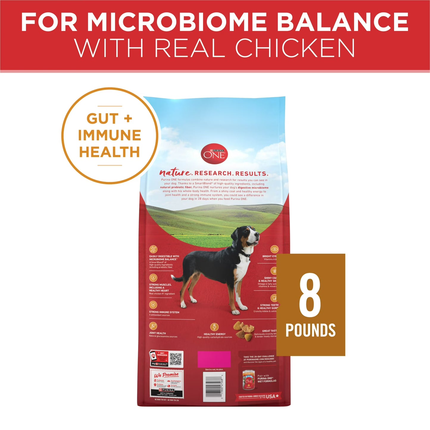 Purina ONE Natural Dry Dog Food, Chicken & Rice Formula, High Protein Adult Dog Food with Microbiome Balance, 8 lb Bag