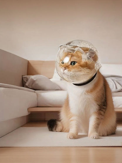 2ff29c0d-37b2-4888-95c7-647782bd6b2f-Max