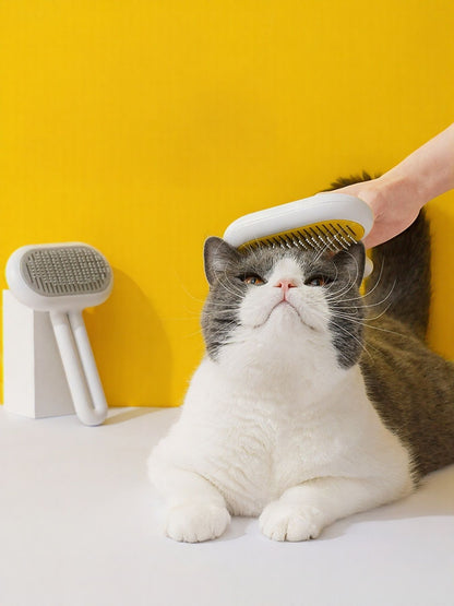 3ee316d2-5f08-4ba0-b066-a009630962f1-Max