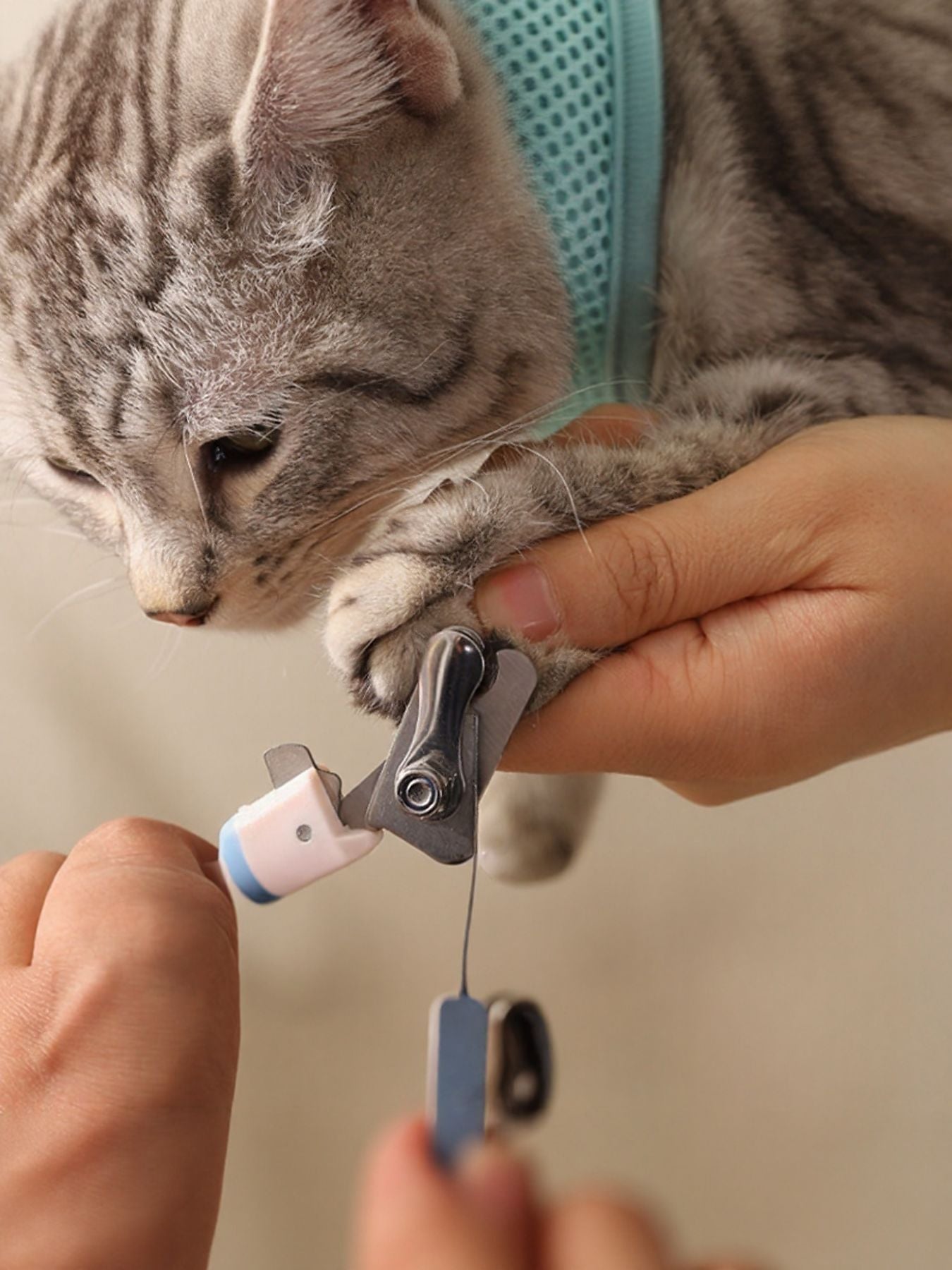 62628a35-bd47-4586-ad24-40fc4ee3f956-Max