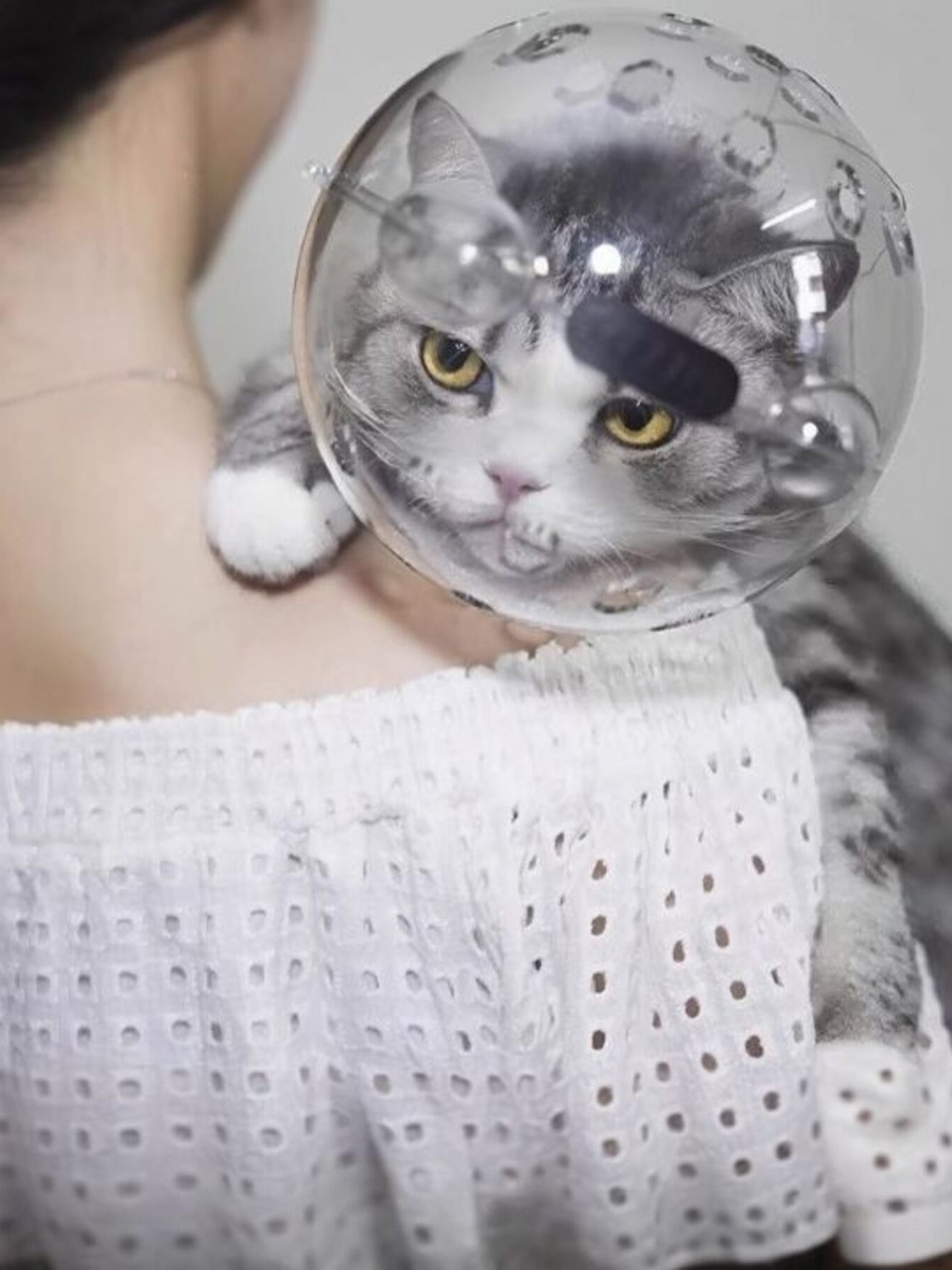 62654d3c881d430fb0a01f52536ccb46-Max