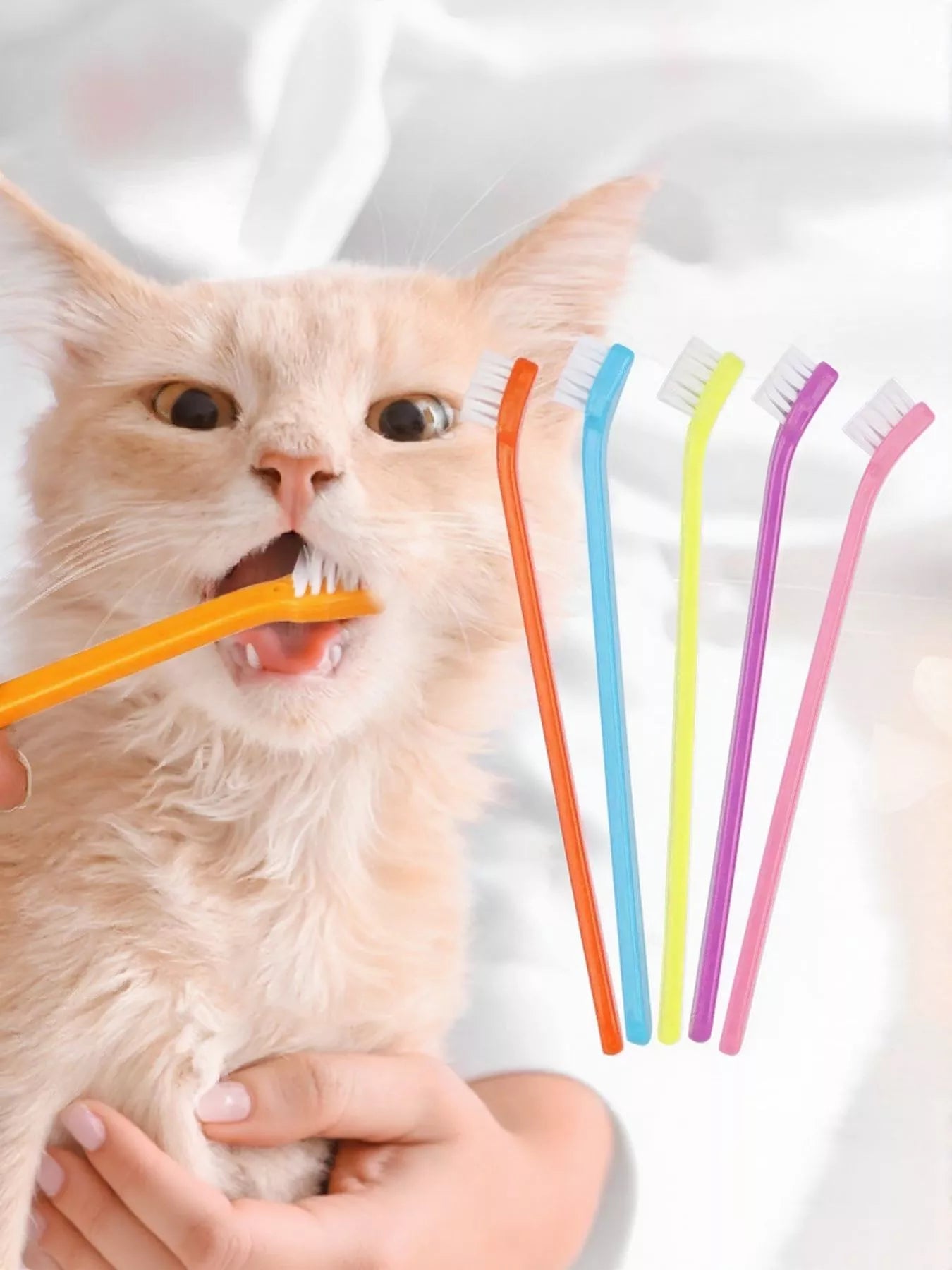 8964fded-7c28-48fb-b927-675a92bd37e9-Max-Origin