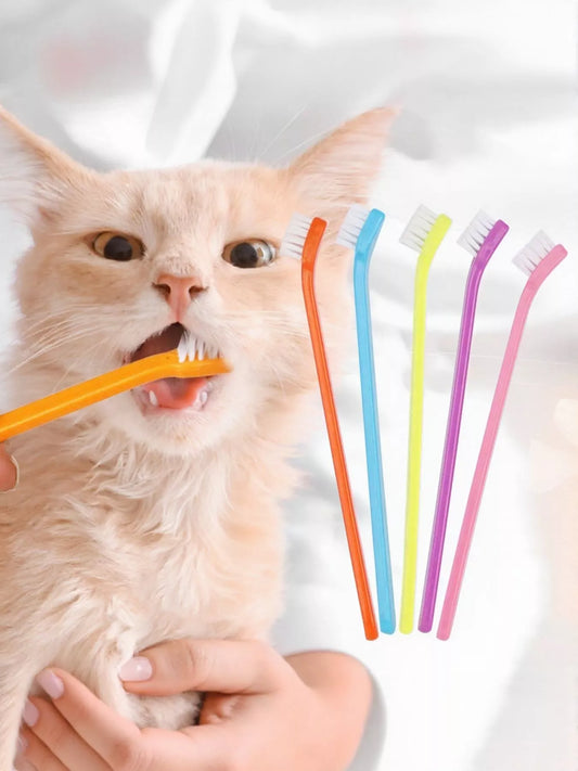 8964fded-7c28-48fb-b927-675a92bd37e9-Max-Origin