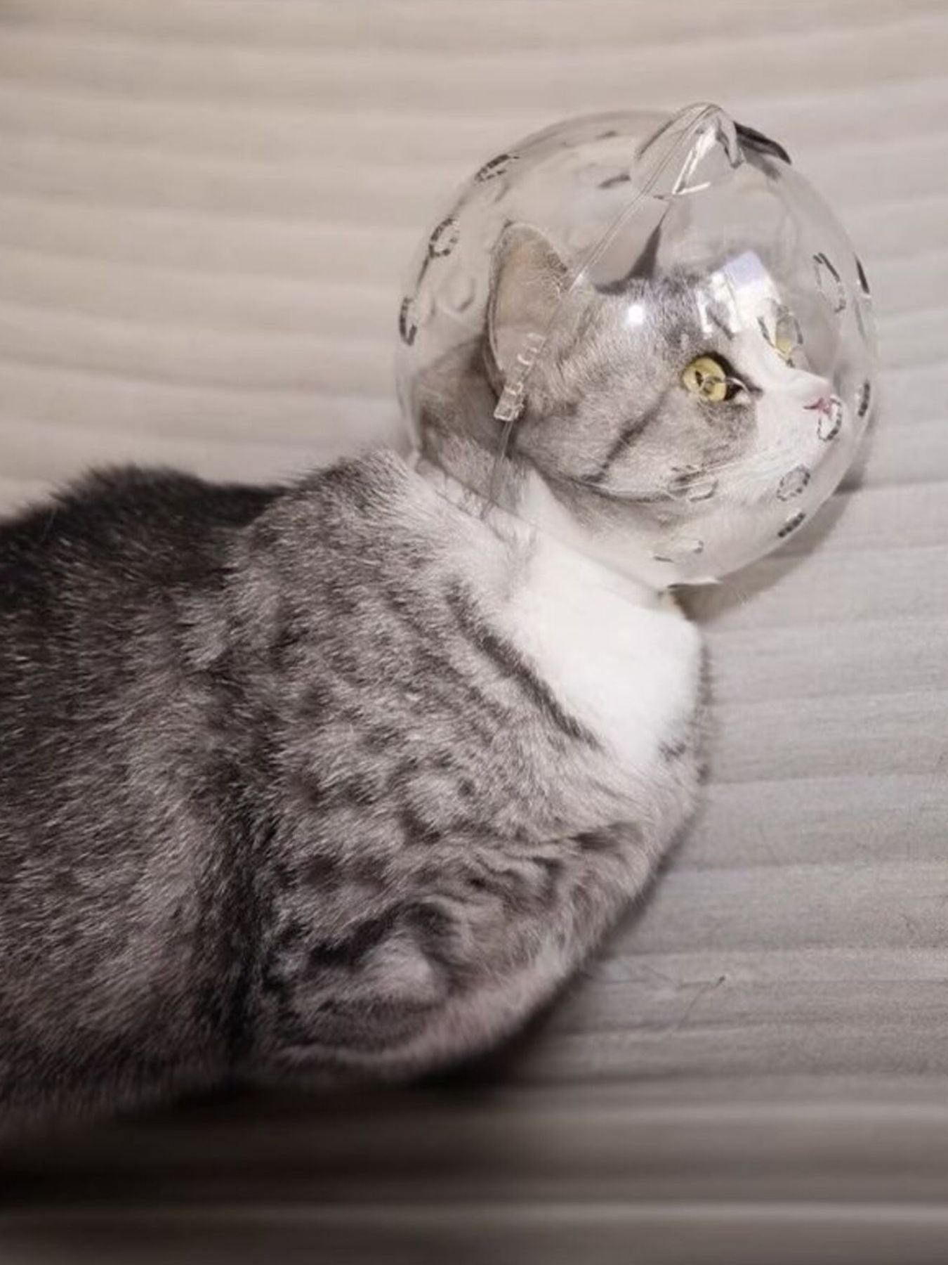 ab10876a-df75-4d30-80eb-f1aa9c585077-Max