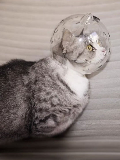 ab10876a-df75-4d30-80eb-f1aa9c585077-Max