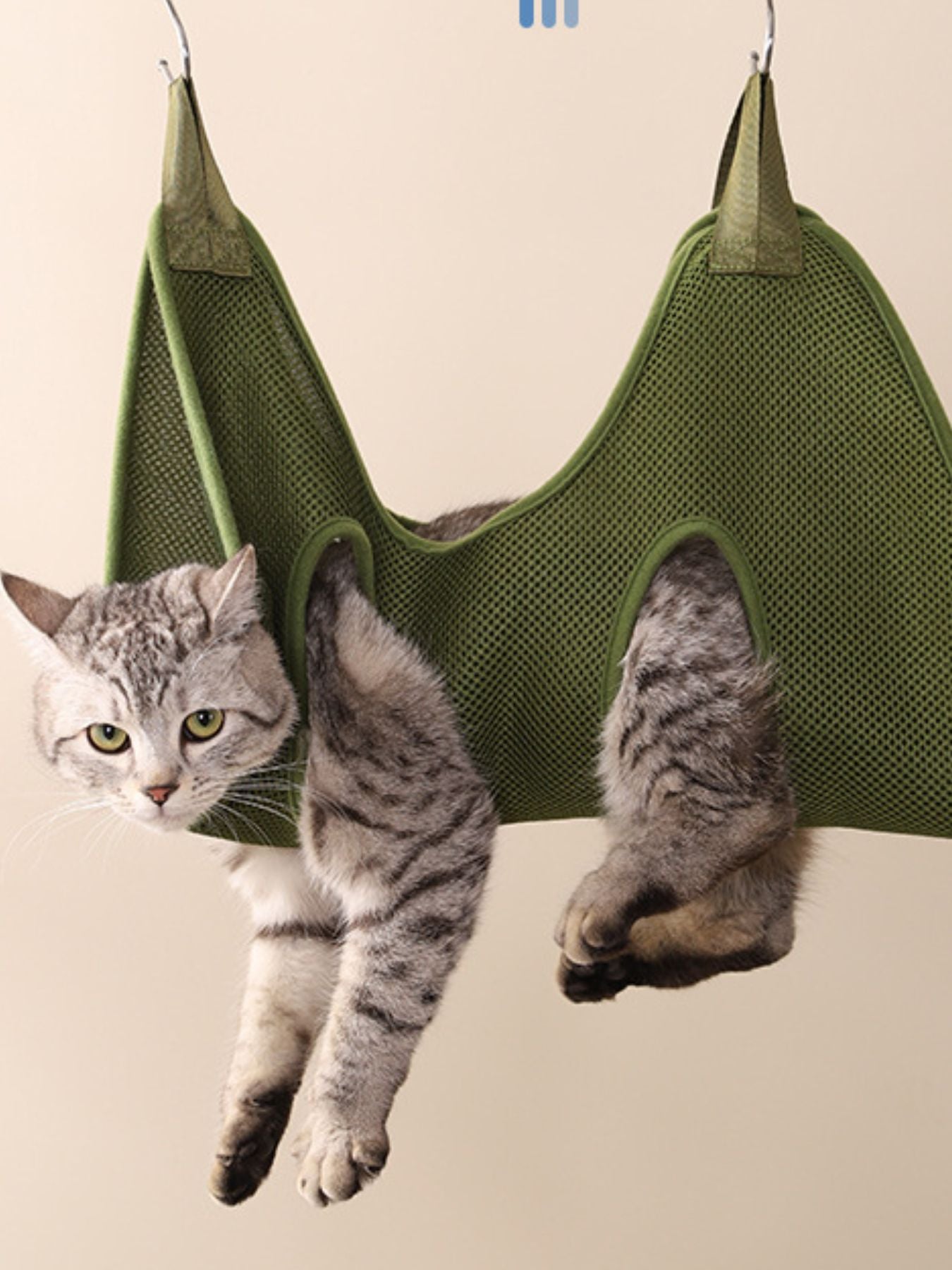 ad5ae657-6ed8-4fa1-bc35-435c9cbec182-Max