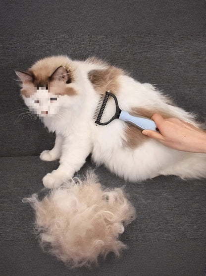 ae0c544e-b275-45b8-955f-bb39d36a6a4d-Max