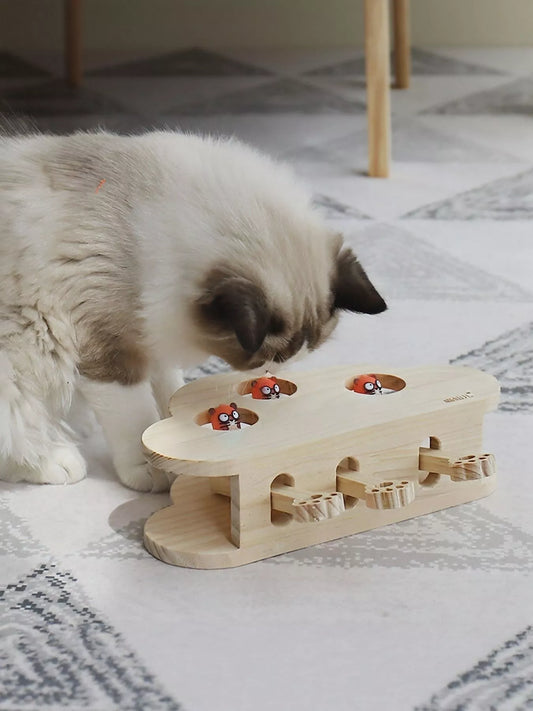 b3bbf4da-4454-4b64-8a89-50ea67a43d3f-Max-Origin