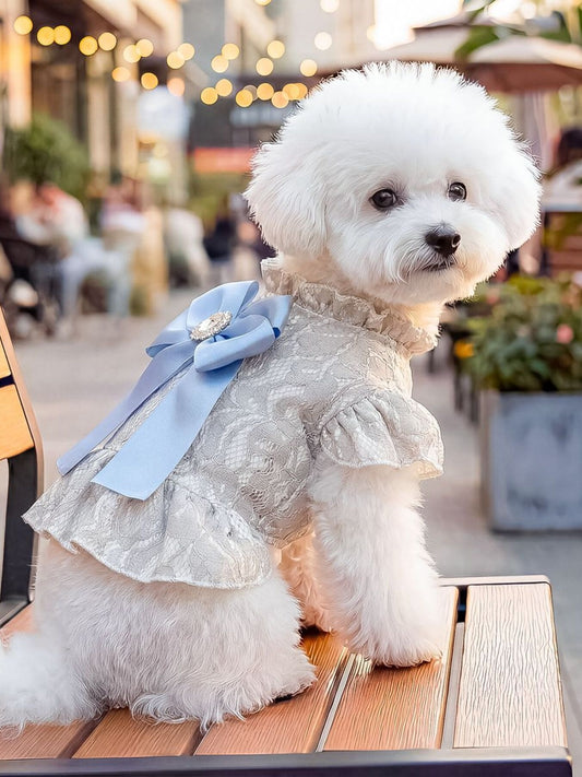 bb307d04b77b4f3682f7d19b2b41f28e-Max