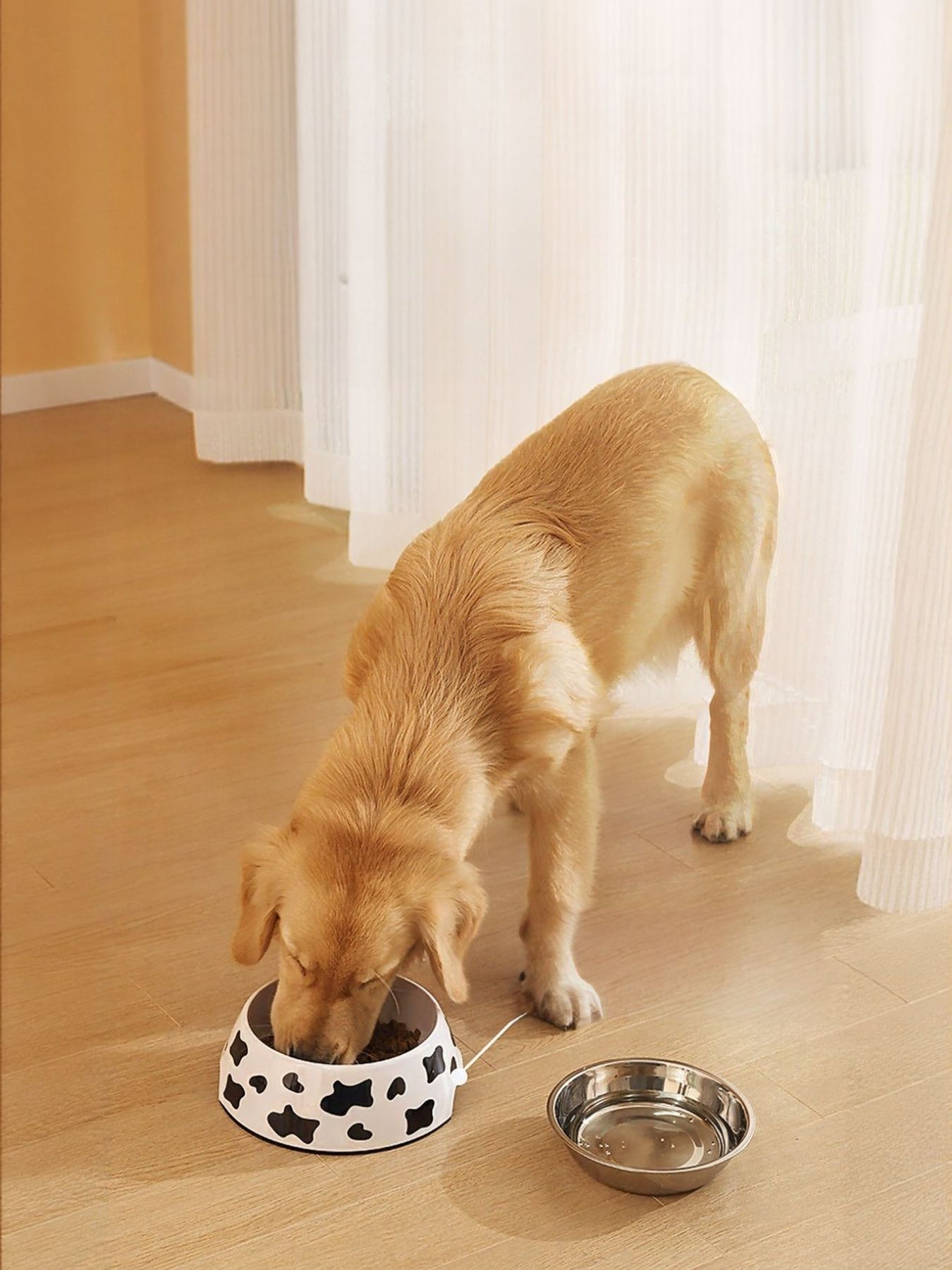 dc4e1a1d-34e5-475f-a51c-ee34509ed8e3-Max