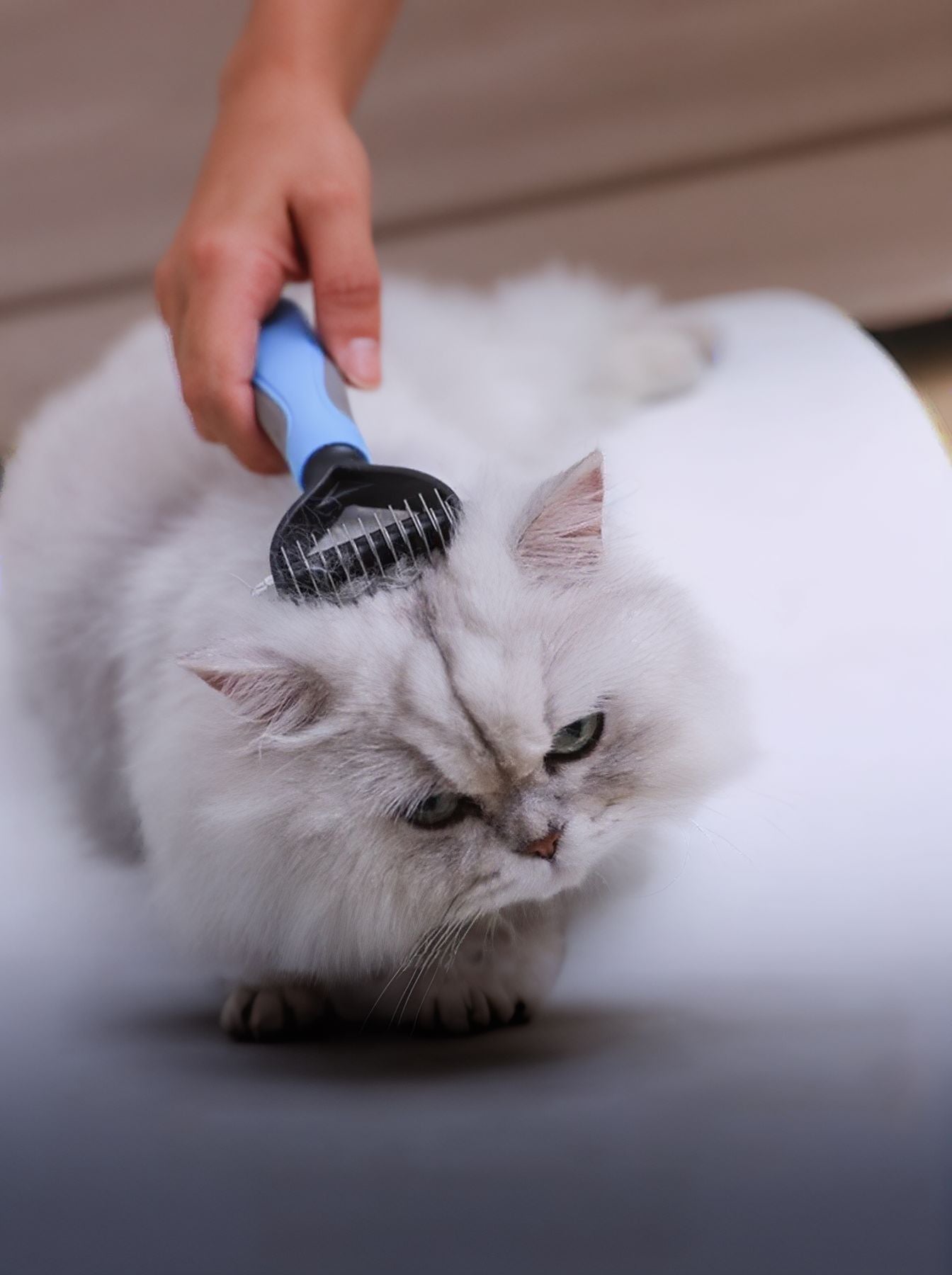 dc89d09a-ae6d-4f60-8546-abc93e5b7f84-Max