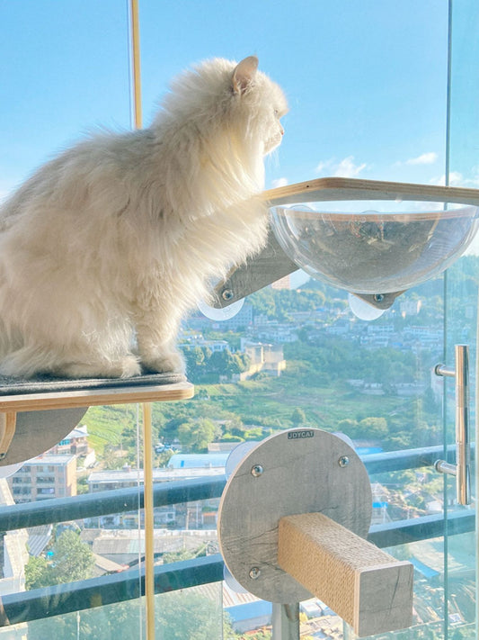 ea45a16a-c6f5-4678-b41a-1ed9928163e2-Max