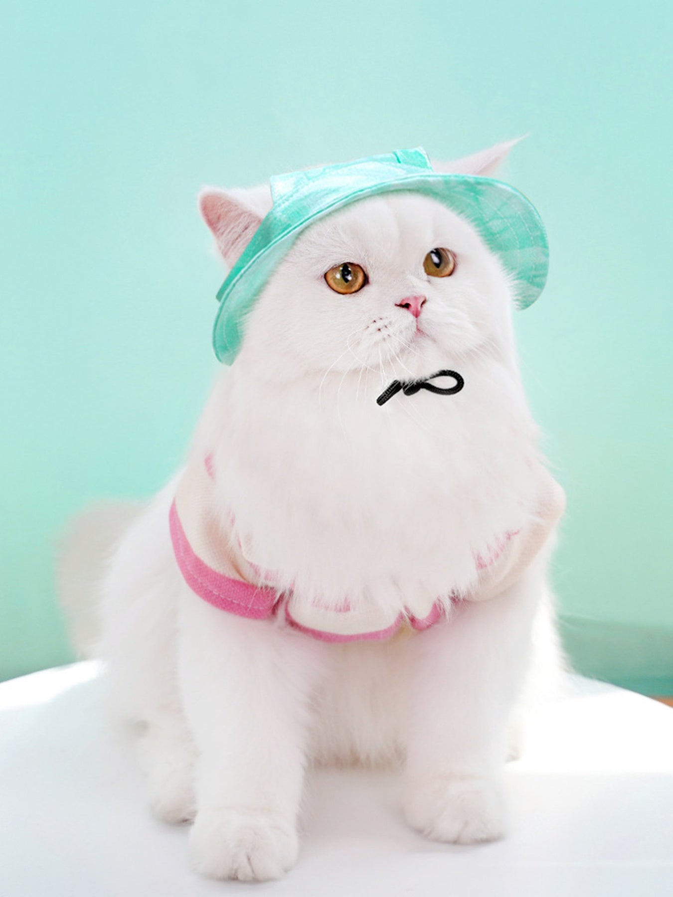 ebbf74706fdd4f908945fddda063e82f-Max