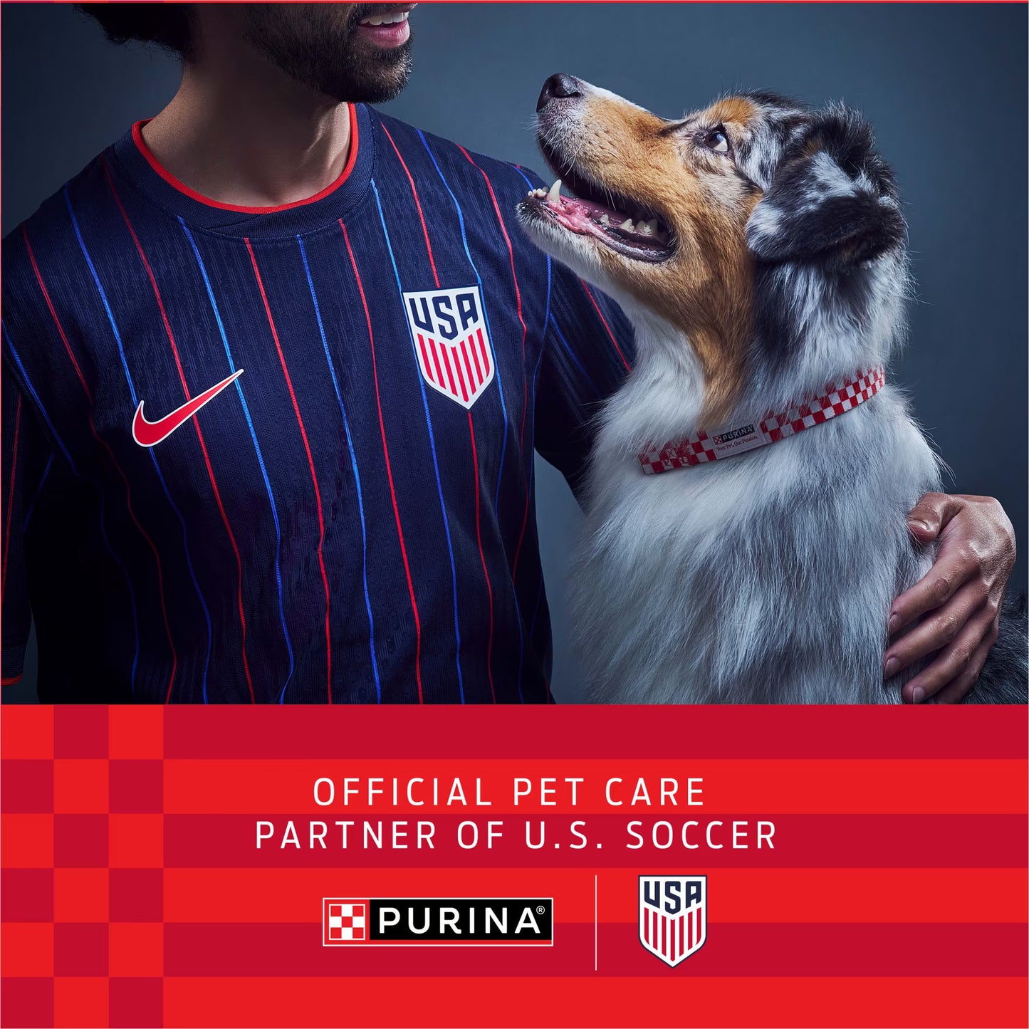 Purina Dog Chow Complete Adult Dry Dog Food, Chicken Flavor, 100th Anniversary Limited Edition, 18.5 lb Bag