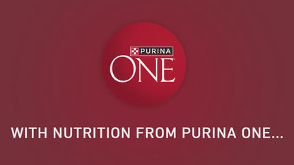 Purina ONE Natural Dry Dog Food, Chicken & Rice Formula, High Protein Adult Dog Food with Microbiome Balance, 8 lb Bag